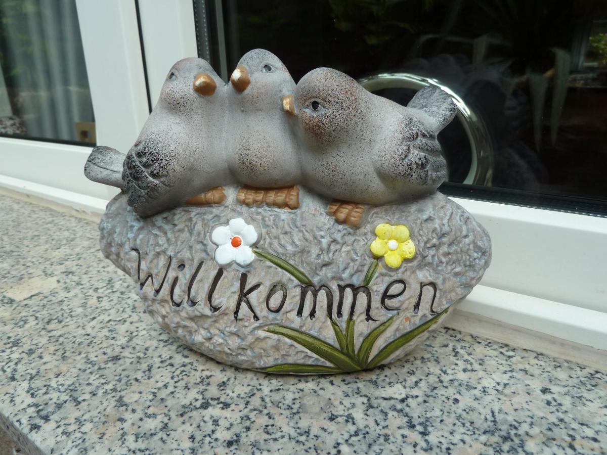 Apartment De Luxe 73 Qm Mit 3 Zimmer Und Terrasse Einhausen  Eksteriør billede