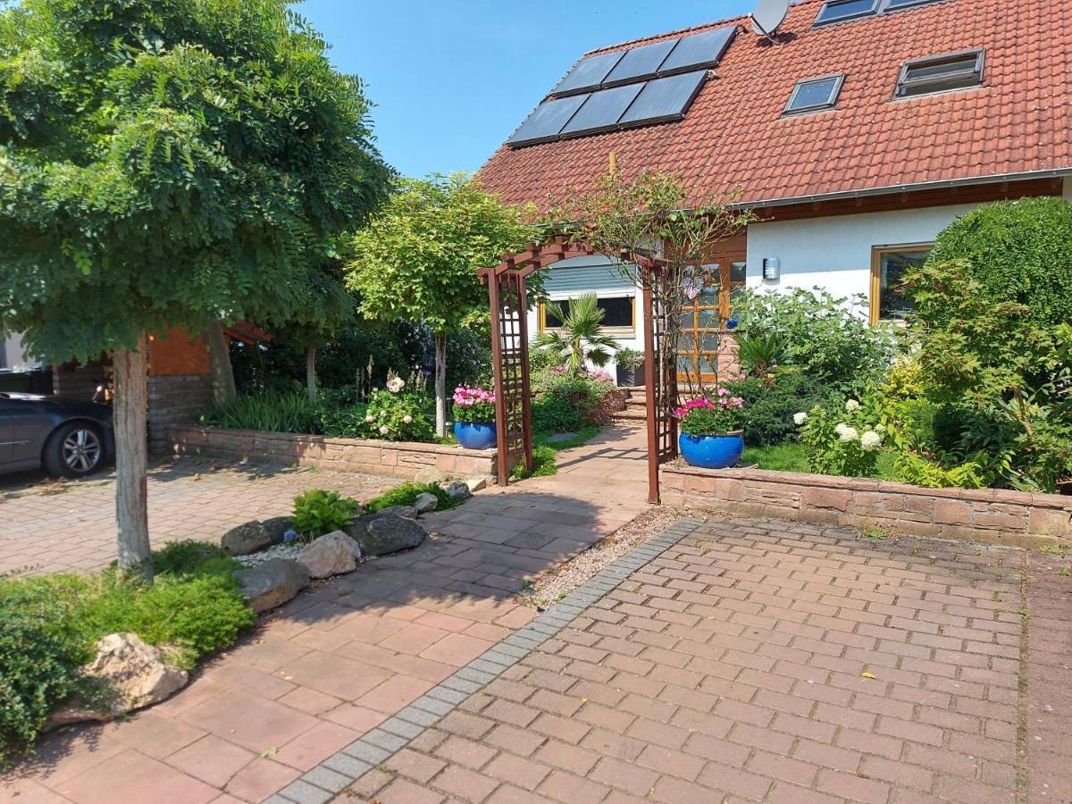 Apartment De Luxe 73 Qm Mit 3 Zimmer Und Terrasse Einhausen  Eksteriør billede